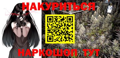 сатива Лесосибирск