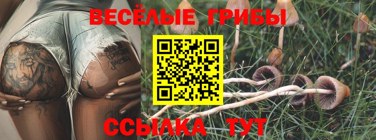 Псилоцибиновые грибы мухоморы Дзержинский